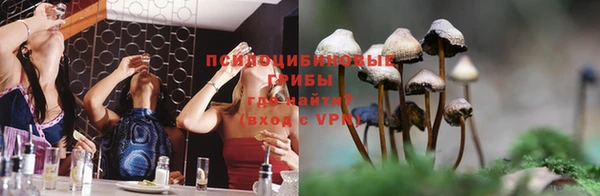 Альфа ПВП Алексеевка