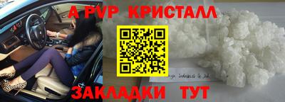 СК Моздок