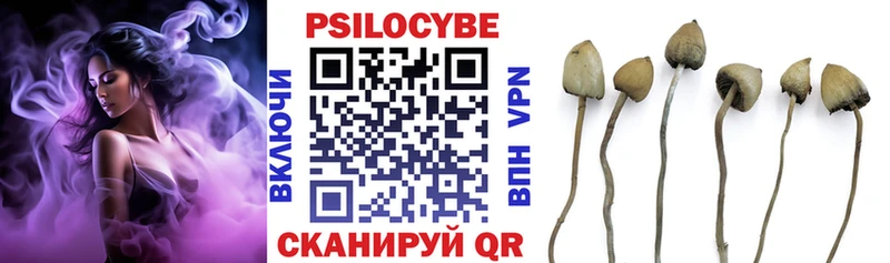 Псилоцибиновые грибы Cubensis  Кореновск 